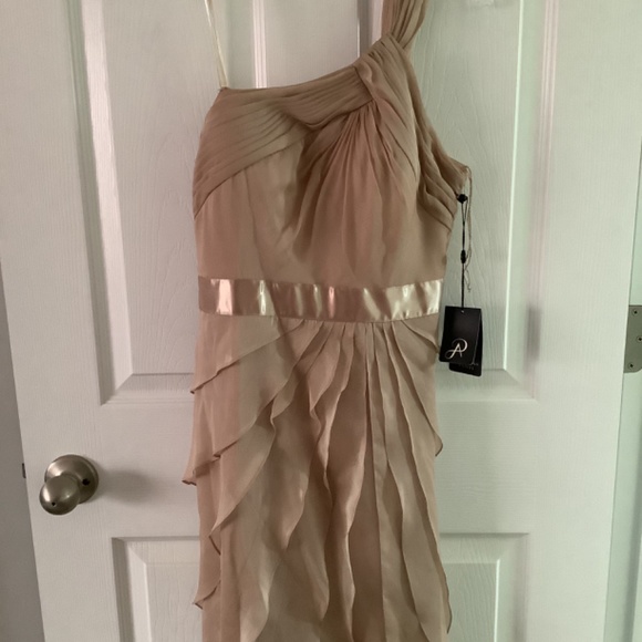 Dress | size 6 | Adrianna Pappel | Cocktail  | Champagne, blush, nude - Picture 5 of 14